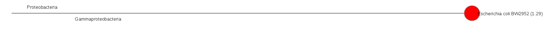 Tree plot